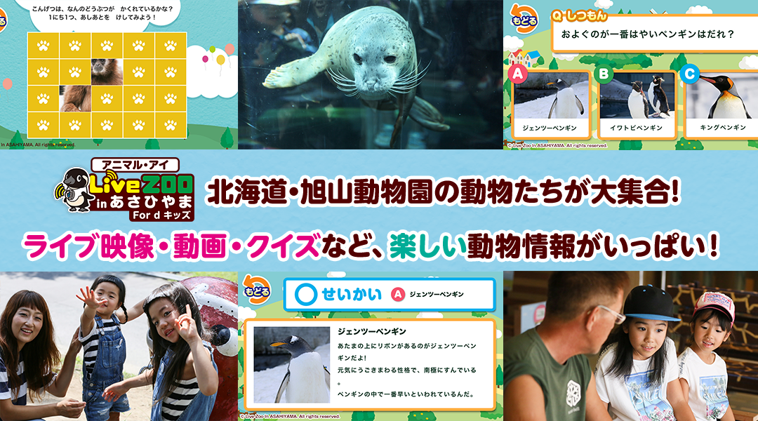 わくわくどうぶつグッズ Livezooプレゼントキャンペーン Dキッズ